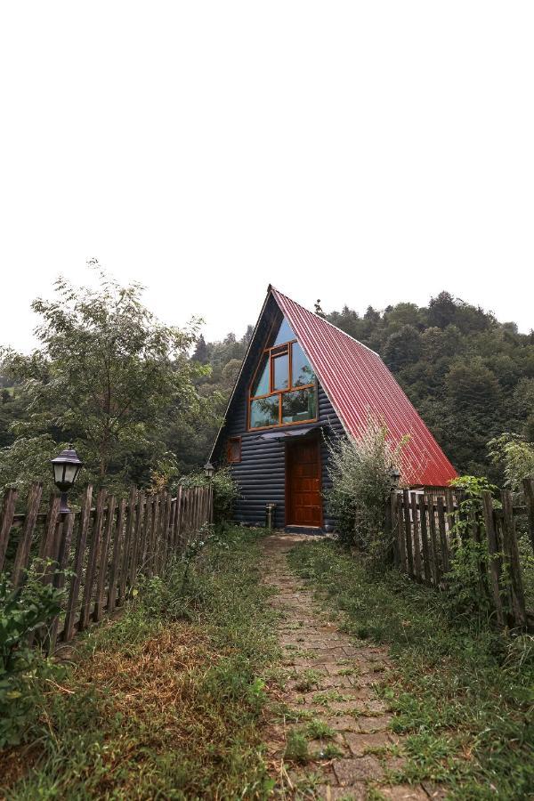 bungalove tatil köyü Çamlıhemşin Exteriör bild
